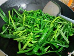 西葫芦和娃娃菜里 西葫芦 娃娃菜
