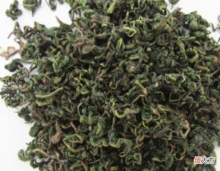 好处多多的蒲公英茶 蒲公英茶蒲公英茶有什么功效
