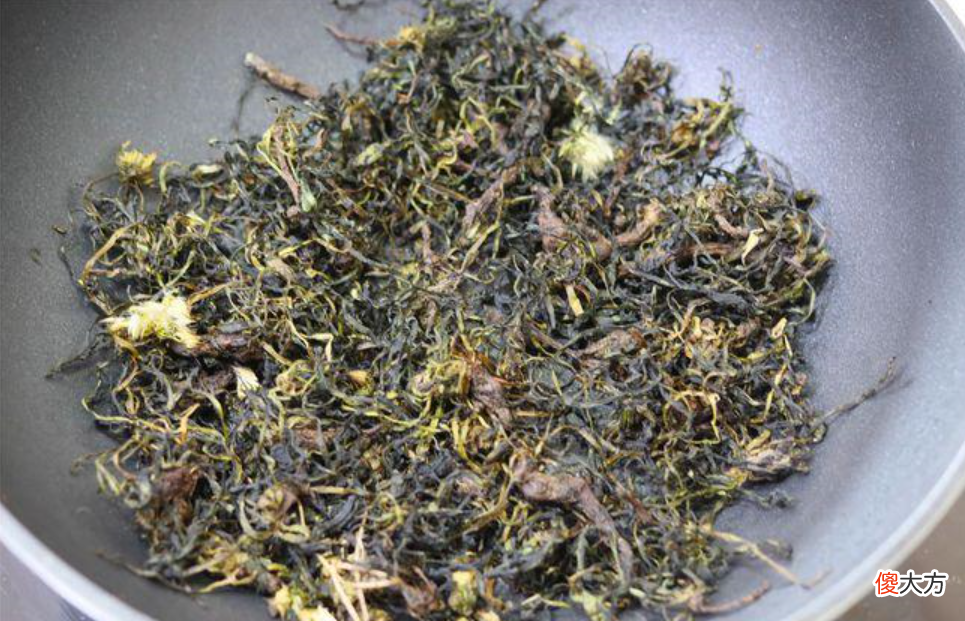 好处多多的蒲公英茶 蒲公英茶蒲公英茶有什么功效