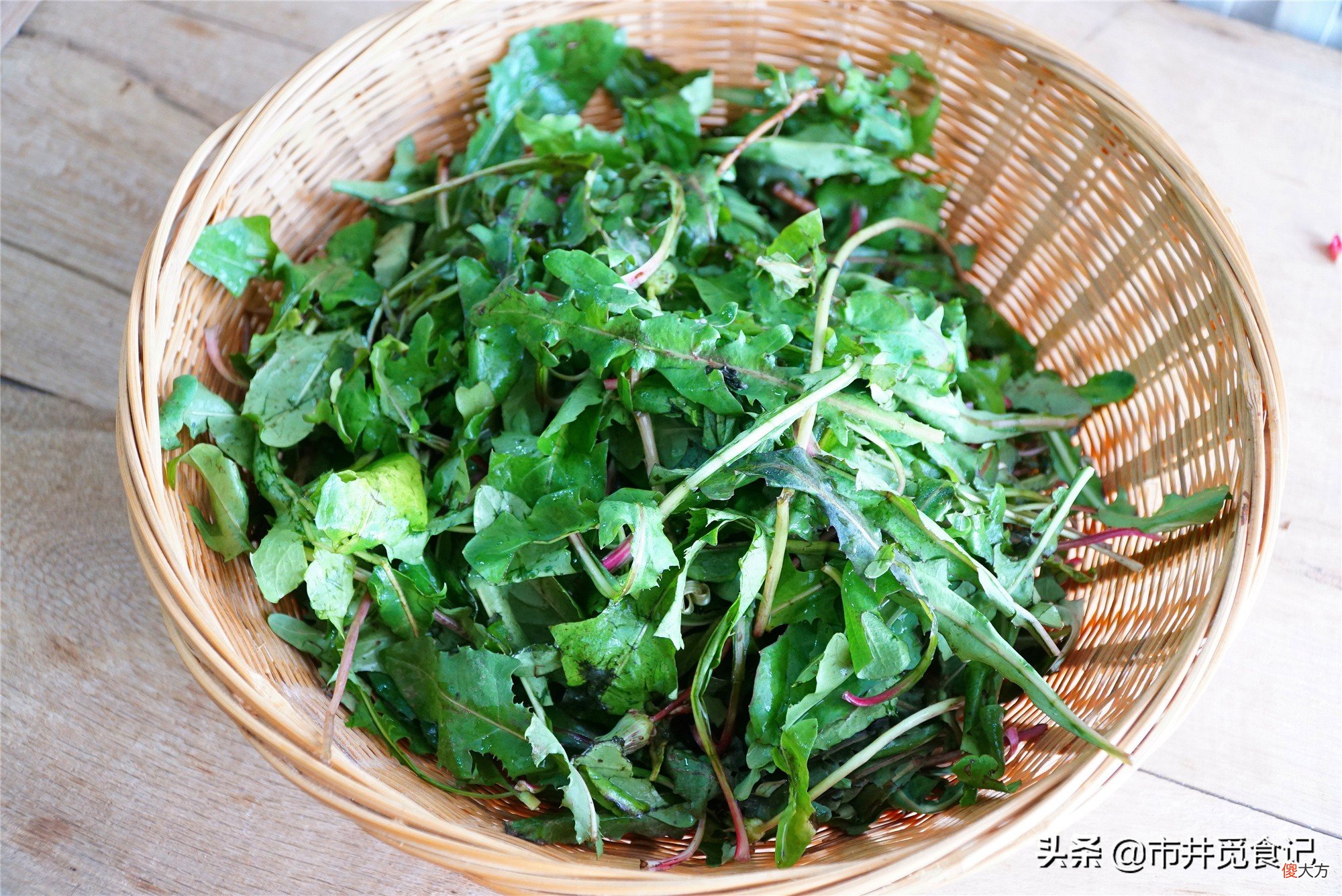 多喝蒲公英泡水 用蒲公英泡水喝
