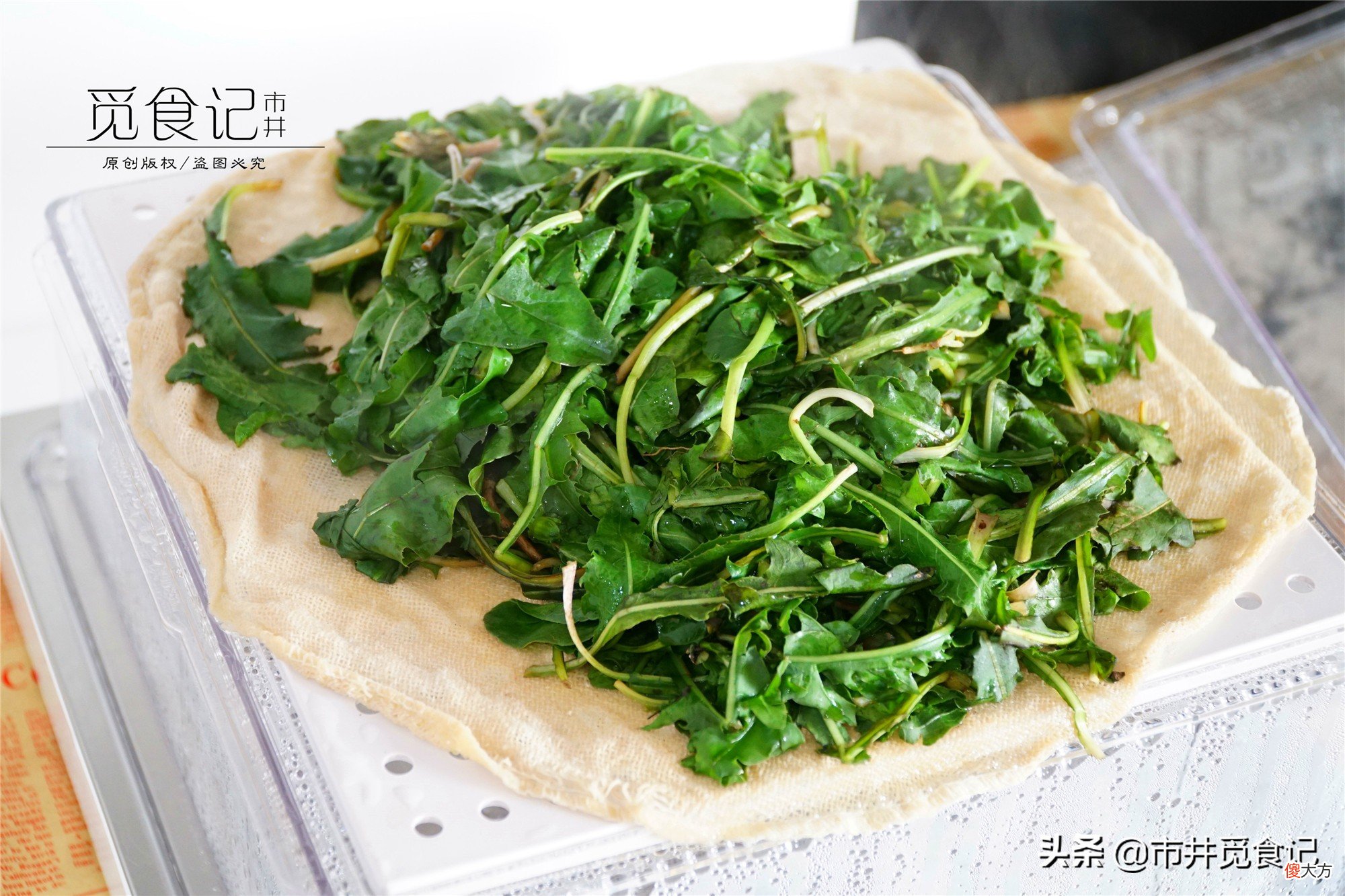 多喝蒲公英泡水 用蒲公英泡水喝