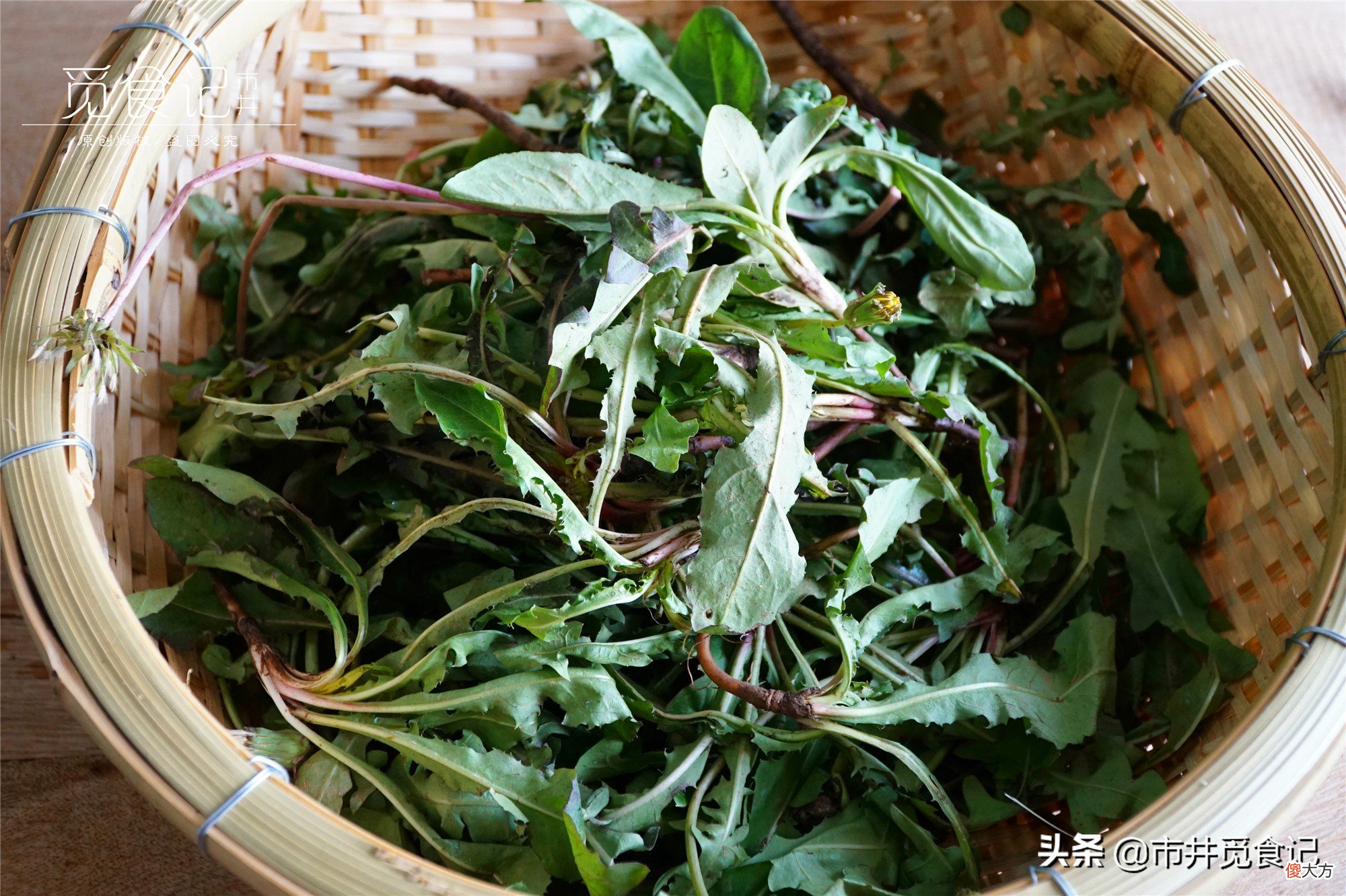 多喝蒲公英泡水 用蒲公英泡水喝