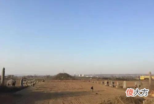【历史故事】永昌陵被盗，赵匡胤的尸骨被吊起来，口里黑水直流，是不是真的？