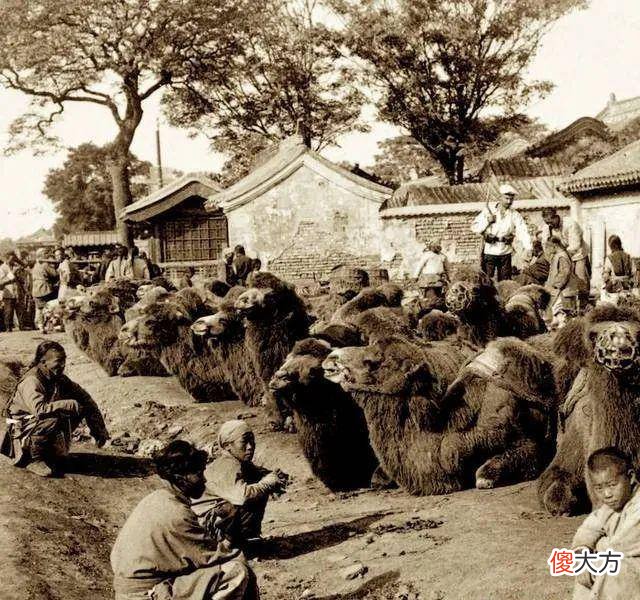 【历史故事】1900年，八国联军镜头下的北京老照片，120年前的北京老城