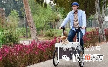 可以骑的变形金刚婴儿车 儿童变形金刚车