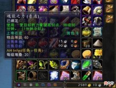 【游戏迷】魔兽怀旧服：WLK职业百花齐放？一个团几乎都是这三个职业！