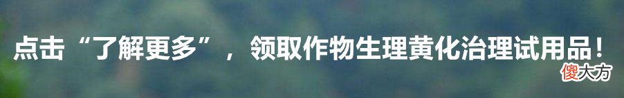 使它隆可以用在哪些作物上 农药使它隆的使用作物有哪些?