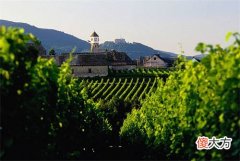 为什么陈年葡萄酒比新鲜葡萄酒贵 从酒瓶外观怎样辨别好葡萄酒