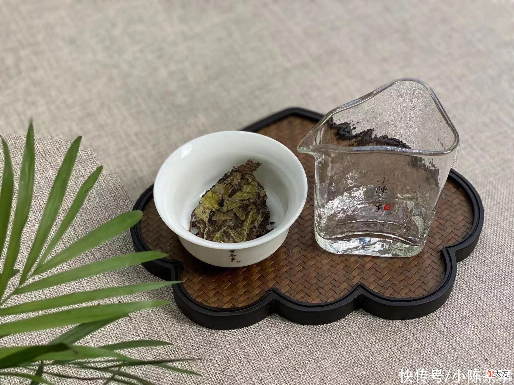 【时尚一点】日常买老白茶，别做3个“傻事”，错一件伤财又伤身，结局惨麻了