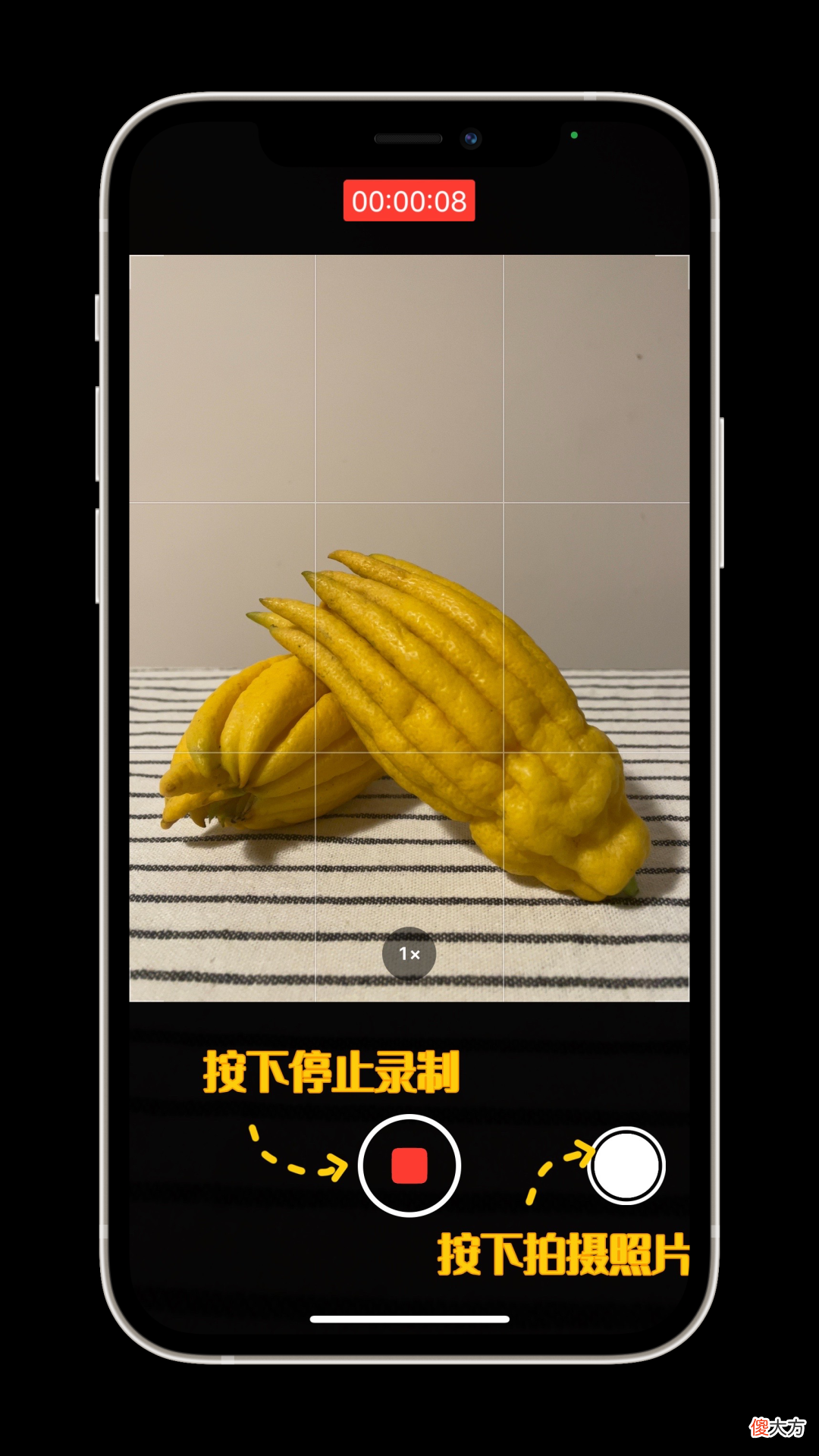在拍摄照片时录制视频 拍摄照片和录制视频