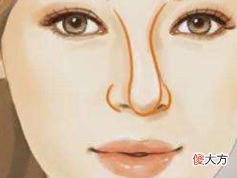 鼻子歪了面相好不好