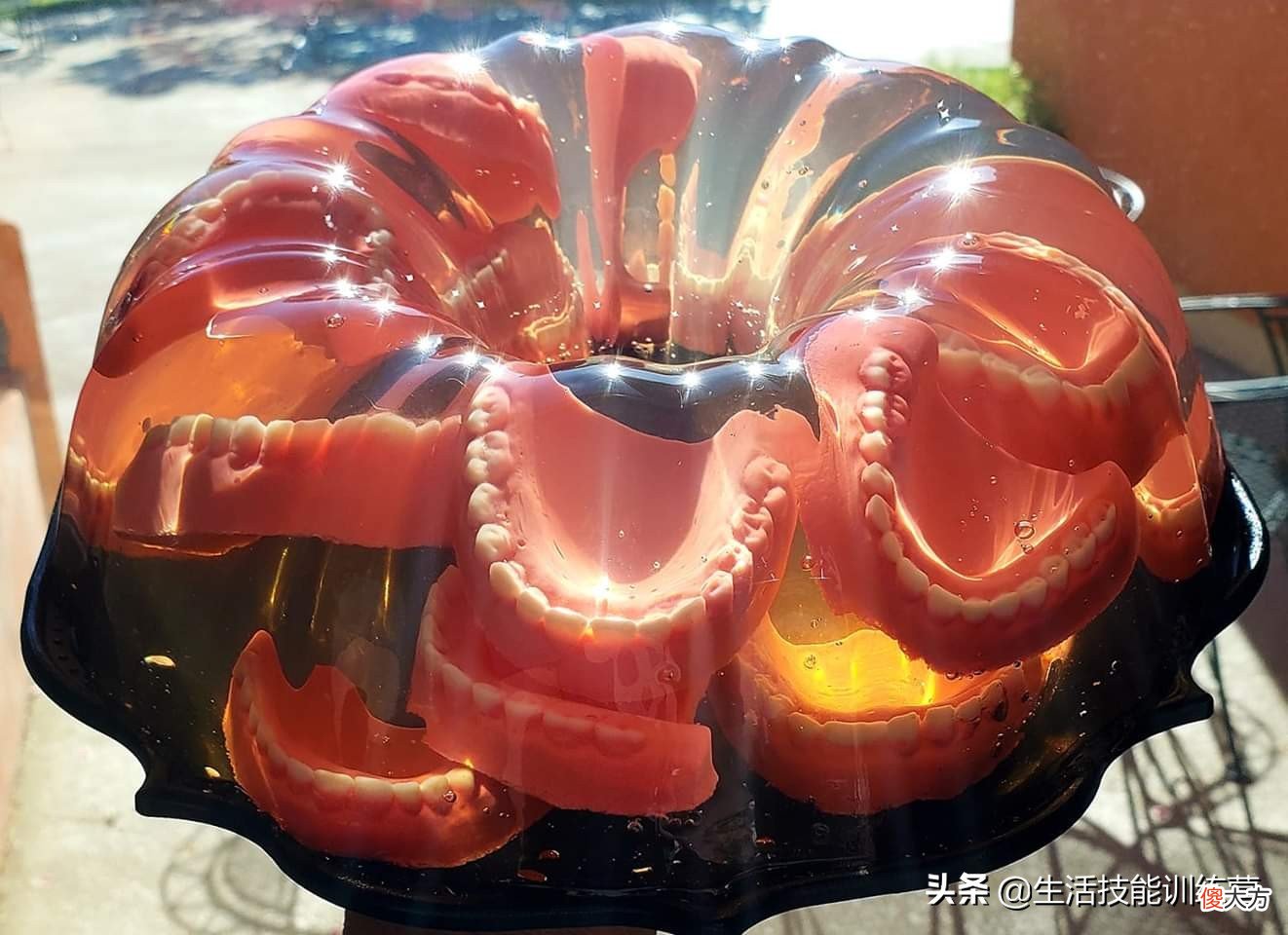 50张有趣的照片平时很难见到 一些有趣的照片
