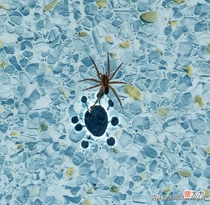 50张有趣的照片平时很难见到 一些有趣的照片