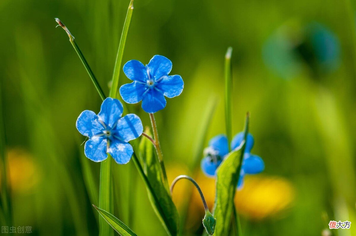 是我永恒的想念 永恒的思念
