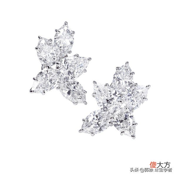 怪盗基德所觊觎的宝石 怪盗基德找的宝石