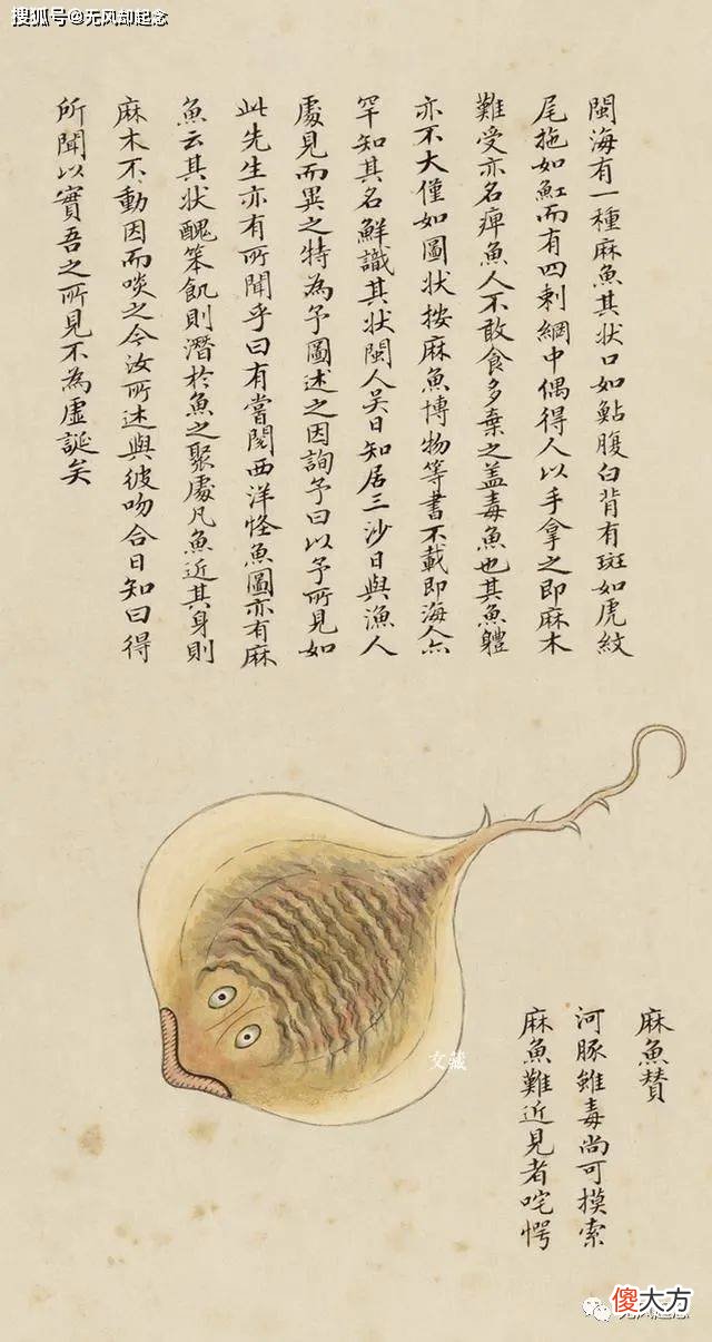 【爱历史】《海错图》中的“人鱼”长什么样？