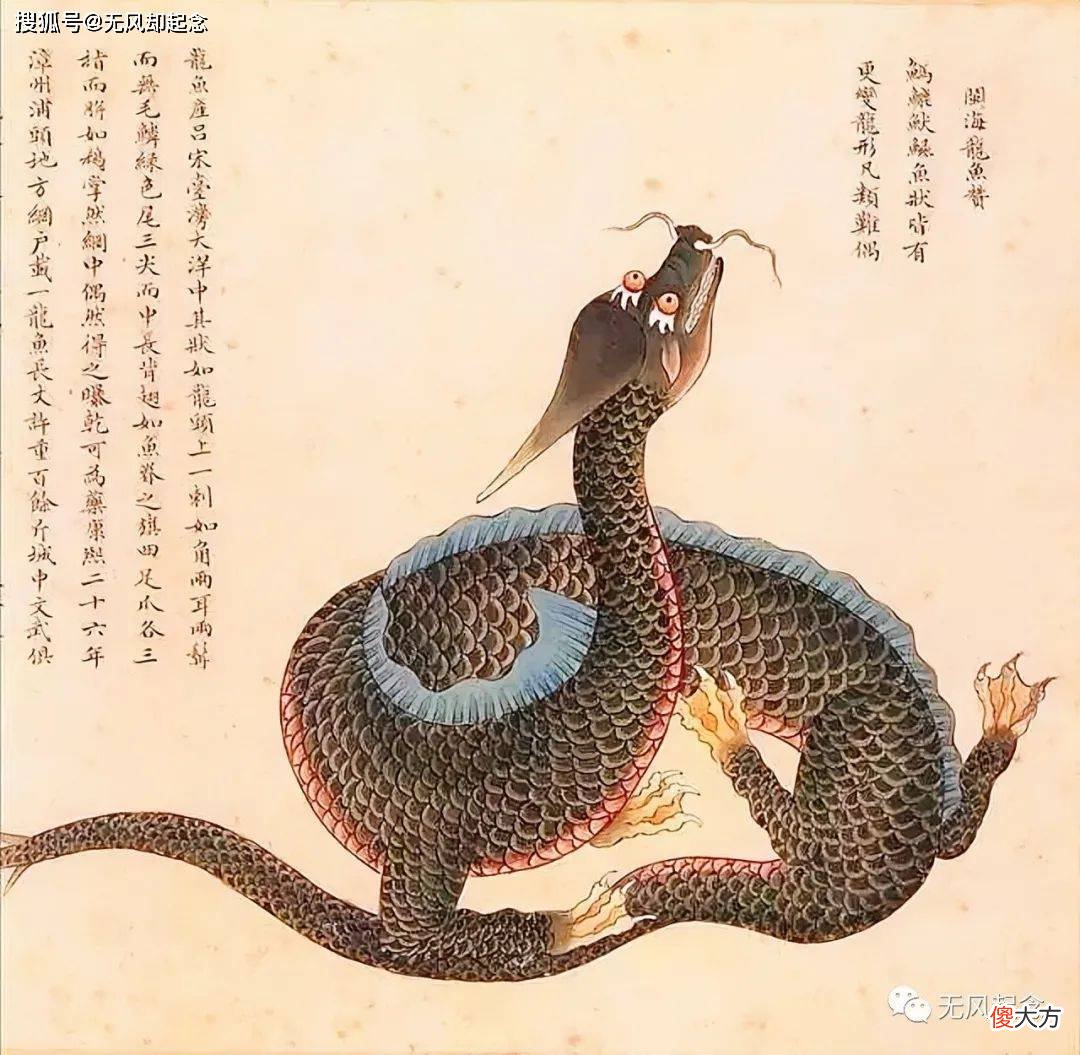 【爱历史】《海错图》中的“人鱼”长什么样？