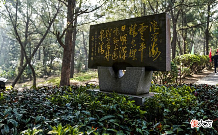 【历史故事】广东小岛,7万人142个姓,传说有南宋宝藏,明代沉船有文物3万件