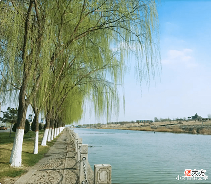 【爱历史】是悲还是喜?柳绵或芳草?——苏轼的《蝶恋花》
