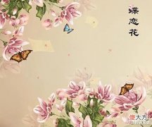 【爱历史】是悲还是喜?柳绵或芳草?——苏轼的《蝶恋花》