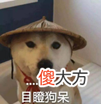 长期看电视手机 什么手机看电视好