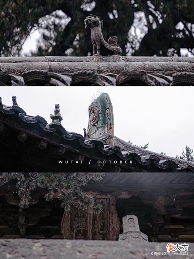 【爱历史】古建第一瑰宝,亚洲佛光,追寻前人足迹感受盛唐气质