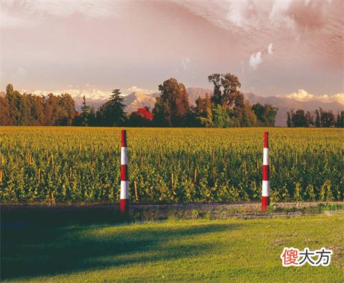 波尔多红酒属于哪个品牌 波尔多红酒有哪些品牌