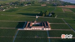 米高桃乐丝峰岭赤霞珠红葡萄酒 米高桃乐丝智利黑色庄园红葡萄酒