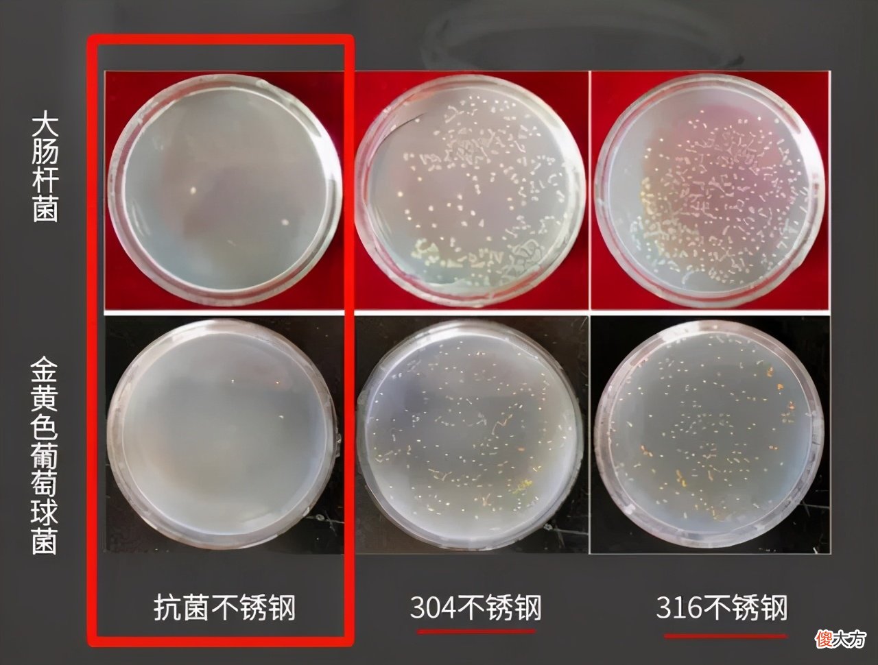 中科院这项发明，或将改变316不锈钢的地位，已经用在餐具上了