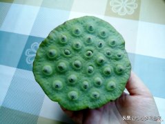 7月吃什么 6月看荷花，7月吃莲子