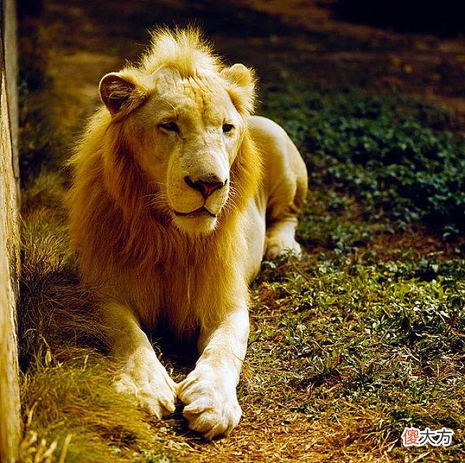 性格和思维方式 性格和思维方式的关系