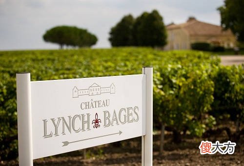 橙子红酒怎么制作 酿橙子酒的方法