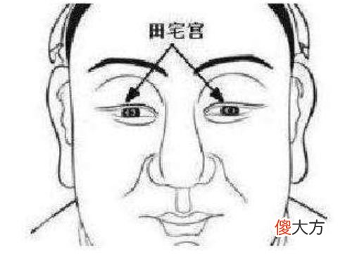 命中注定有财的面相类型