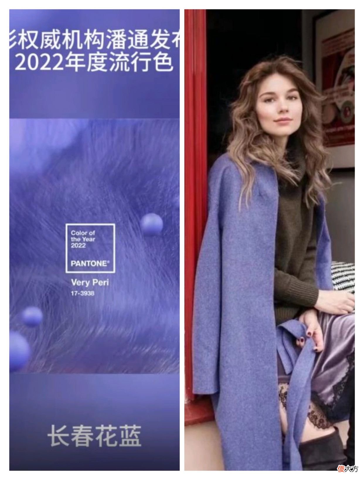 女星们却集体穿上了绿色 女星穿绿色衣服