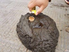 农村70-80后，童年玩过的16种游戏，每一种都很经典，你还记得吗