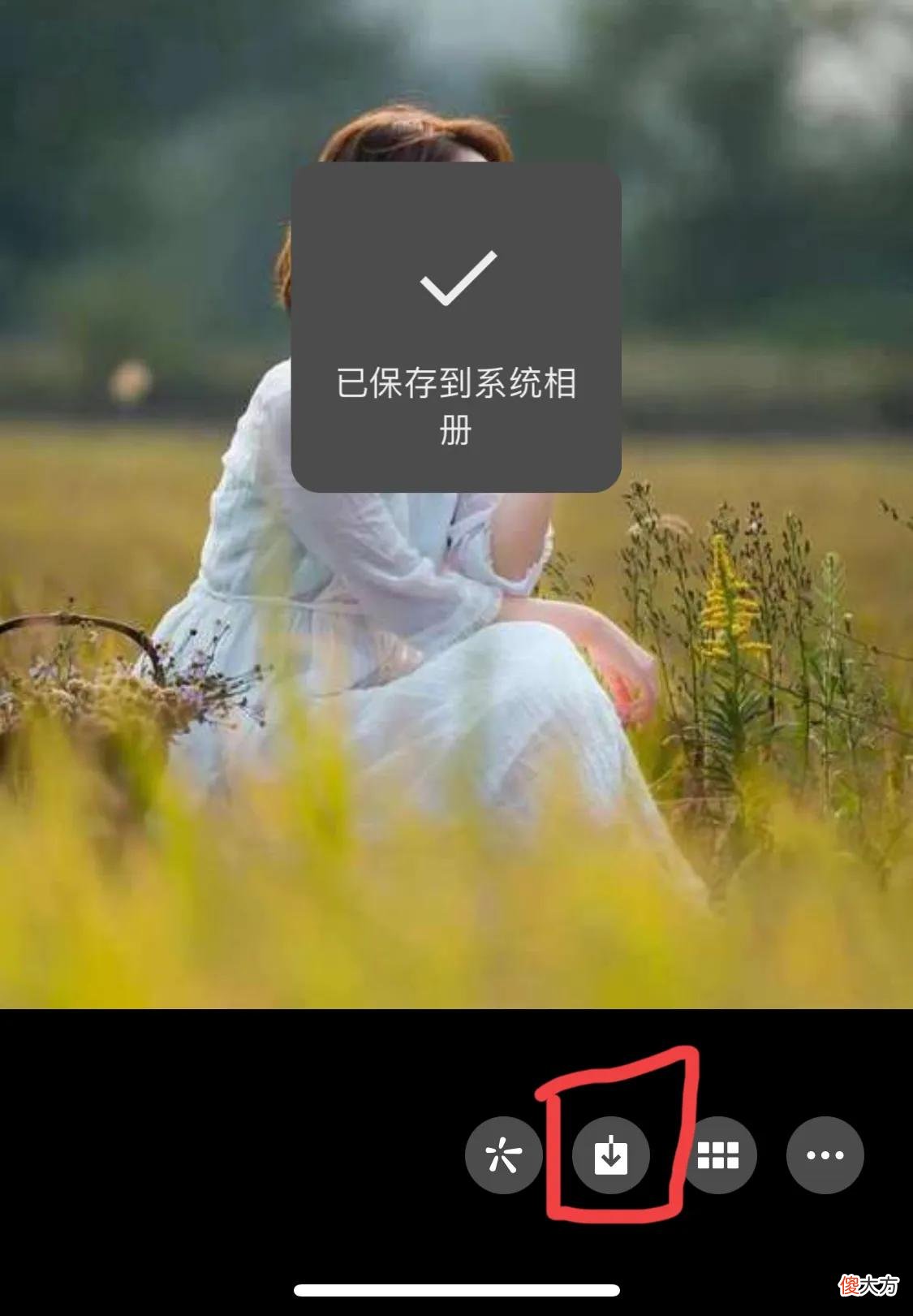 微信聊天和网页 微信聊天网址