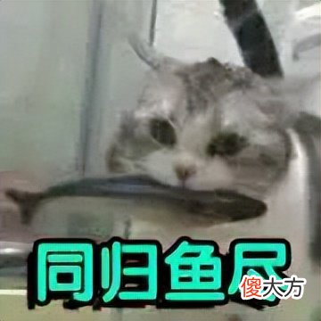 这几个微信沙雕功能 微信的沙雕功能