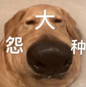 告诉你今年换什么手机最值 现在换手机换什么好