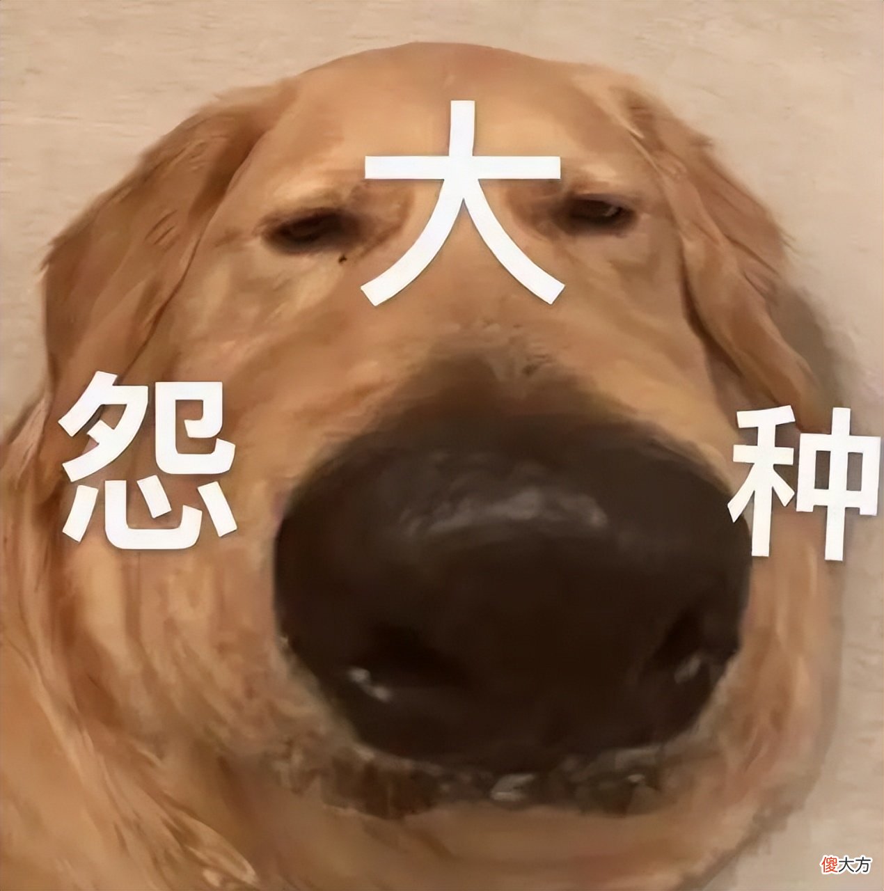 告诉你今年换什么手机最值 现在换手机换什么好