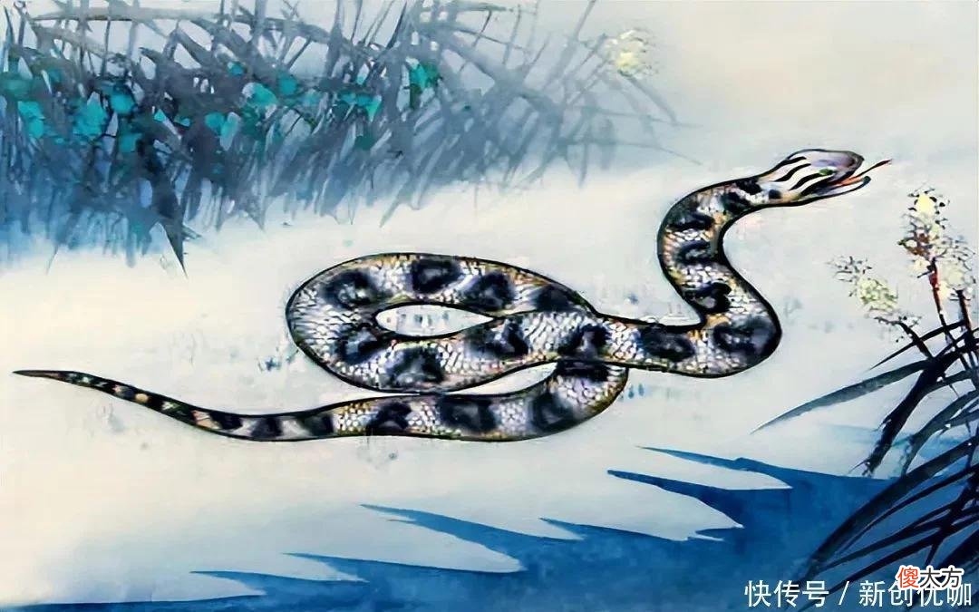 【星座控】6-8月，不缺定力，将避开烂桃花，喜迎正缘，爱情开花结果的生肖