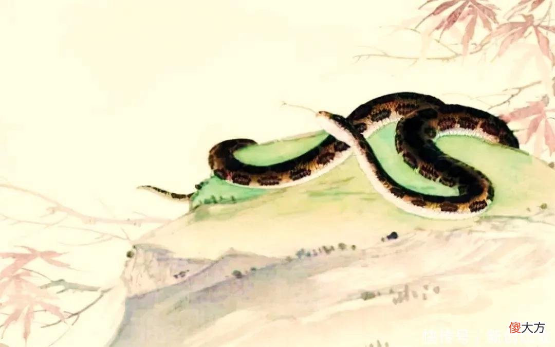 【星座控】6-8月，不缺定力，将避开烂桃花，喜迎正缘，爱情开花结果的生肖