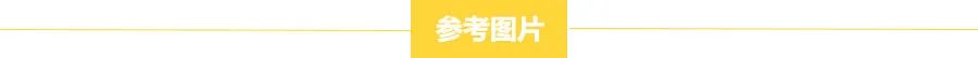沙漠中的仙人掌 沙漠中的仙人掌图片