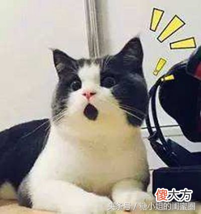 晒后修护的大功臣 皮肤晒后修护