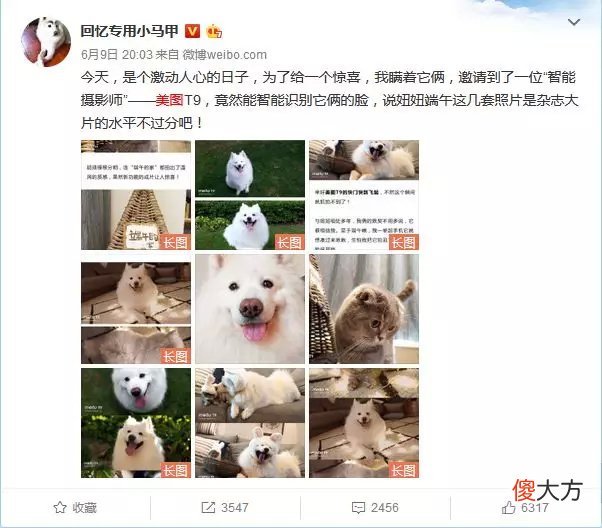 都说美图手机拍照好 什么美图手机好