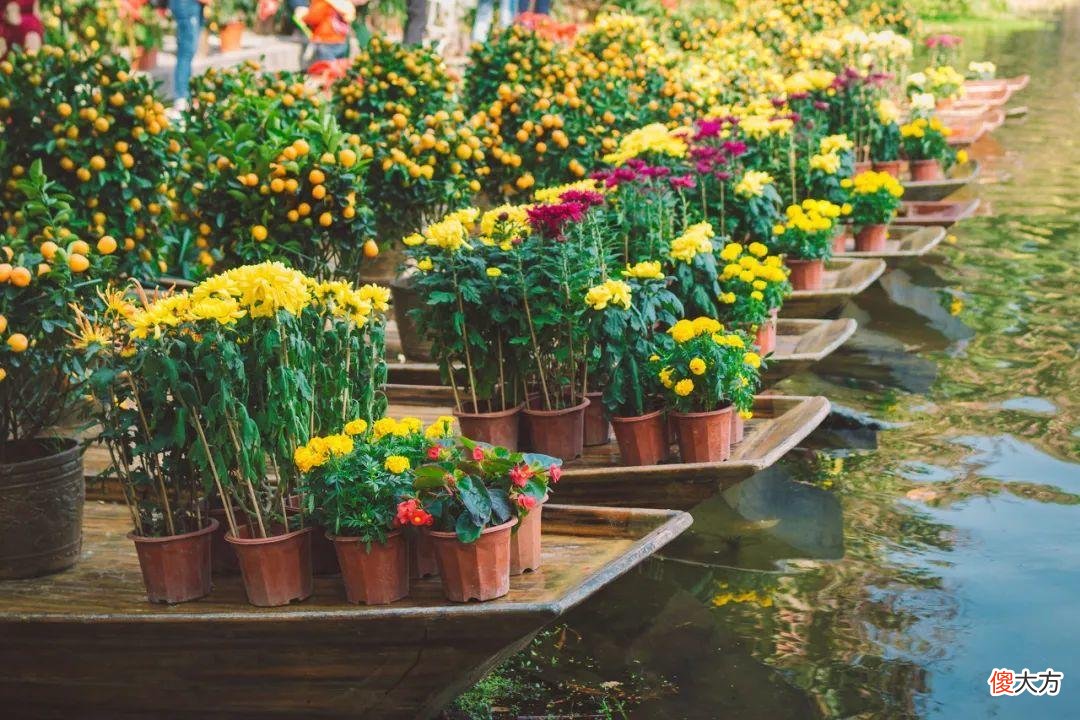 全国最大的花卉批发市场介绍 全国各大花卉批发市场