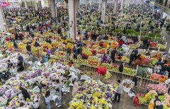 全国最大的花卉批发市场介绍 全国各大花卉批发市场