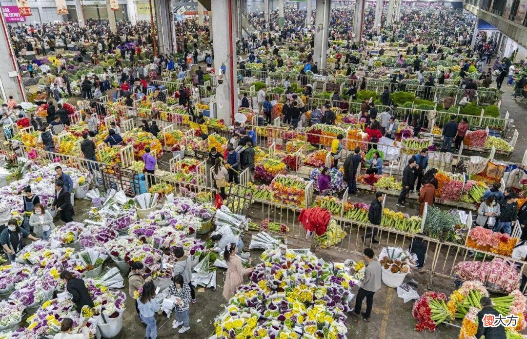 全国最大的花卉批发市场介绍 全国各大花卉批发市场