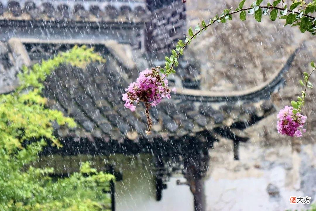全国最大的花卉批发市场介绍 全国各大花卉批发市场