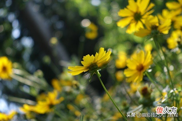 买什么相机好 手机拍照用什么相机好