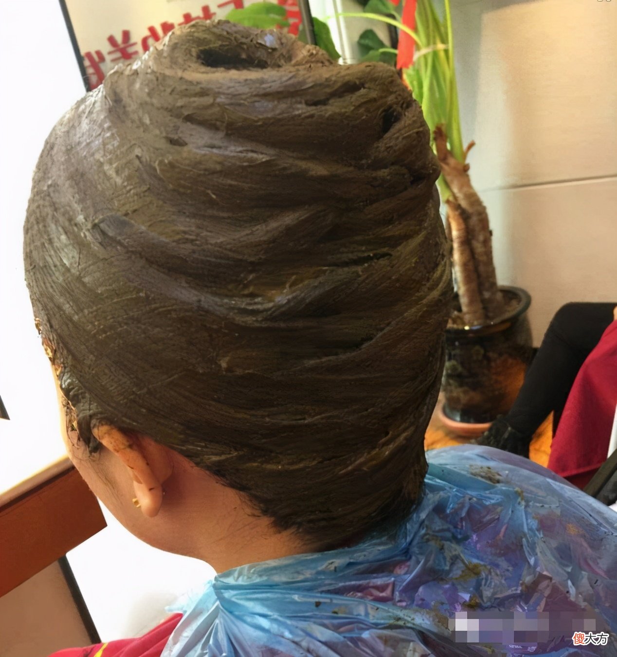 植物染发和普通染发有什么区别 植物染发与普通染发有何区别